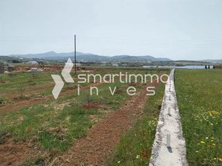 Οικόπεδο 5.196 τ.μ. για πώληση, Κυκλάδες, Πάρος-thumb-2