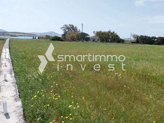 Οικόπεδο 5.196 τ.μ. για πώληση