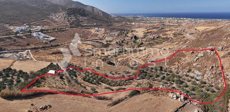 Αγροτεμάχια 13.720 τ.μ. για πώληση, Κυκλάδες, Νάξος