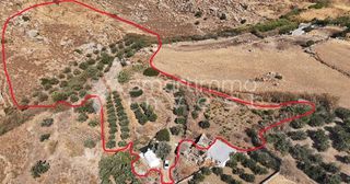 Αγροτεμάχια 13.720 τ.μ. για πώληση, Κυκλάδες, Νάξος-thumb-3