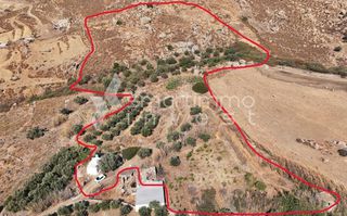 Αγροτεμάχια 13.720 τ.μ. για πώληση, Κυκλάδες, Νάξος-thumb-6
