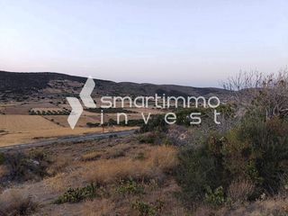 Οικόπεδο 1.000 τ.μ. για πώληση, Κυκλάδες, Πάρος-thumb-5