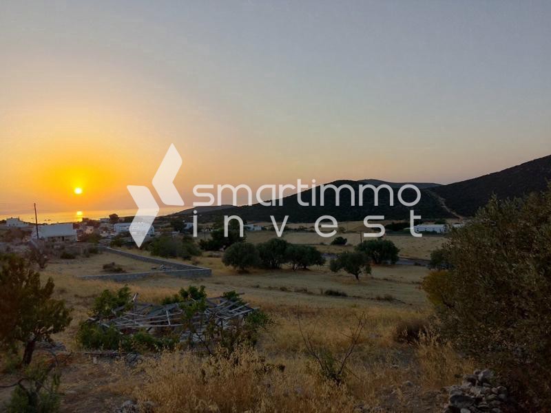 Οικόπεδο 1.000 τ.μ. προς πώληση, Μαράθι Πάρου