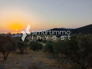 Οικόπεδο 1.000 τ.μ. για πώληση, Κυκλάδες, Πάρος-thumb-3