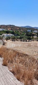 Land plot 8.700 sqm for sale