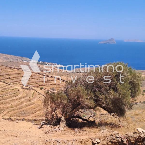 Μεζονέτα 170 τ.μ. προς πώληση, Σκύλος