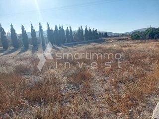 Αγροτεμάχια 1.096 τ.μ. προς πώληση, Θήρα-thumb-4