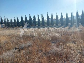 Αγροτεμάχια 1.096 τ.μ. προς πώληση, Θήρα-thumb-5