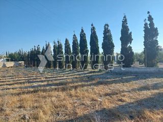Αγροτεμάχια 1.096 τ.μ. προς πώληση, Θήρα-thumb-6