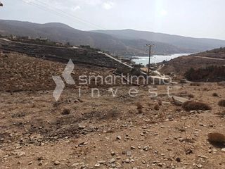 Αγροτεμάχια 7.823 τ.μ. για πώληση