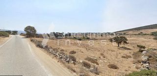 Αγροτεμάχια 8.300 τ.μ. προς πώληση, Κάμπος Αντιπάρου-thumb-2