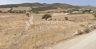 Αγροτεμάχια 8.300 τ.μ. προς πώληση, Κάμπος Αντιπάρου-thumb-3