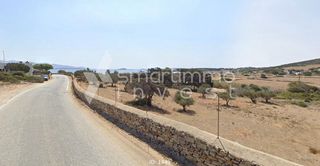 Αγροτεμάχια 8.300 τ.μ. για πώληση