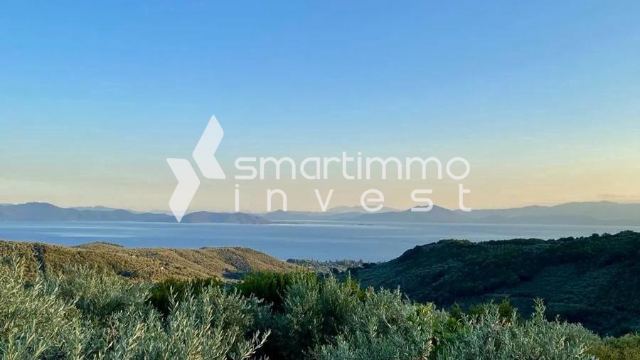 Μονοκατοικία 66 τ.μ. πρός πώληση, Μαγνησία, Μηλιές