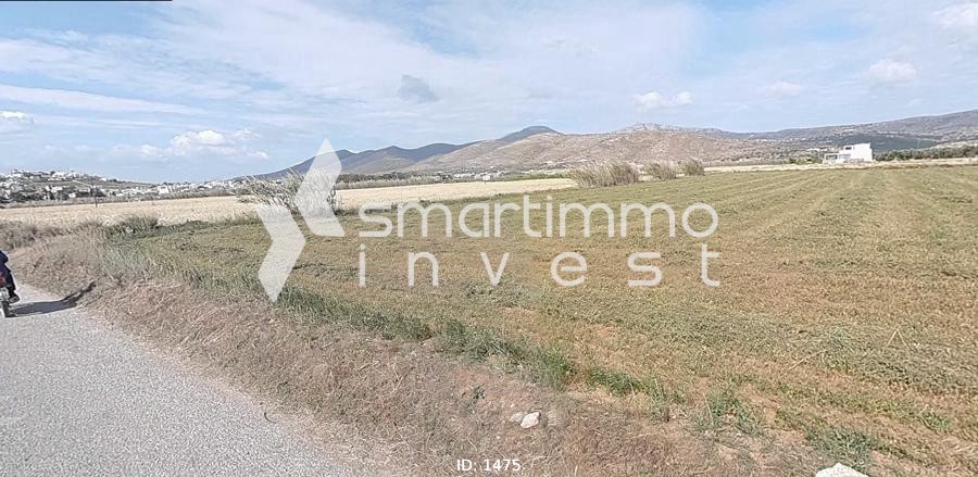 Αγροτεμάχια 5.386 τ.μ. προς πώληση, Μάρμαρα Πάρου