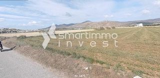 Αγροτεμάχια 5.386 τ.μ. προς πώληση, Μάρμαρα Πάρου-thumb-2