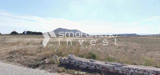 Αγροτεμάχια 5.386 τ.μ. προς πώληση, Μάρμαρα Πάρου-thumb-5