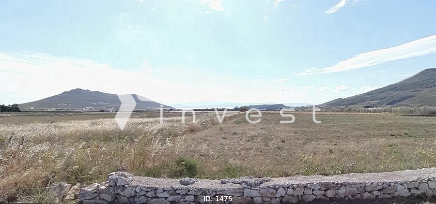Αγροτεμάχια 5.386 τ.μ. προς πώληση, Μάρμαρα Πάρου