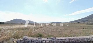 Αγροτεμάχια 5.386 τ.μ. προς πώληση, Μάρμαρα Πάρου-thumb-3