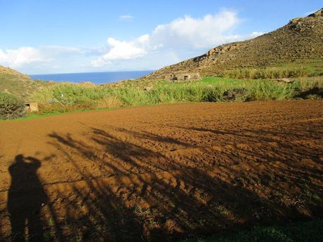 Αγροτεμάχια 7.974 τ.μ. πρός πώληση