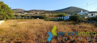 Αγροτεμάχια 5.800 τ.μ. για πώληση, Κυκλάδες, Πάρος-thumb-3