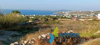 Αγροτεμάχια 5.800 τ.μ. για πώληση