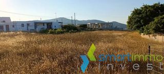 Αγροτεμάχια 5.800 τ.μ. για πώληση, Κυκλάδες, Πάρος-thumb-5