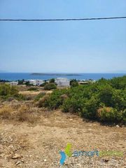 Αγροτεμάχια 4.850 τ.μ. για πώληση, Κυκλάδες, Πάρος-thumb-4