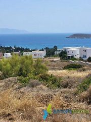 Αγροτεμάχια 4.850 τ.μ. για πώληση