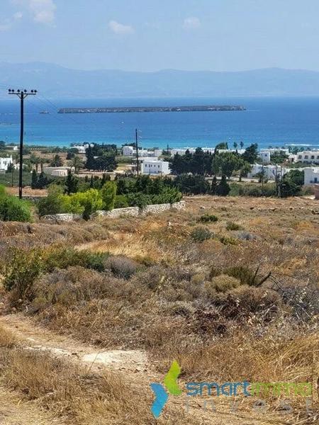 Αγροτεμάχια 4.850 τ.μ. προς πώληση, Δρυός