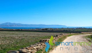 Αγροτεμάχια 8.019 τ.μ. για πώληση