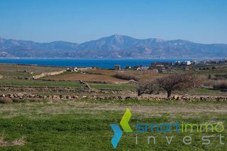 Αγροτεμάχια 8.019 τ.μ. για πώληση, Κυκλάδες, Πάρος-thumb-2