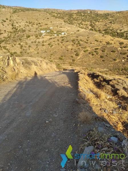 Αγροτεμάχια 9.188 τ.μ. προς πώληση, Κόρθιο