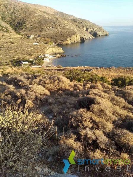 Αγροτεμάχια 9.188 τ.μ. προς πώληση, Κόρθιο