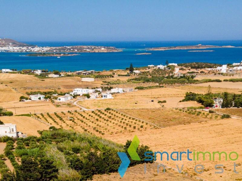 Οικόπεδο 9.500 τ.μ. προς πώληση, Μονή Χριστού Δάσους
