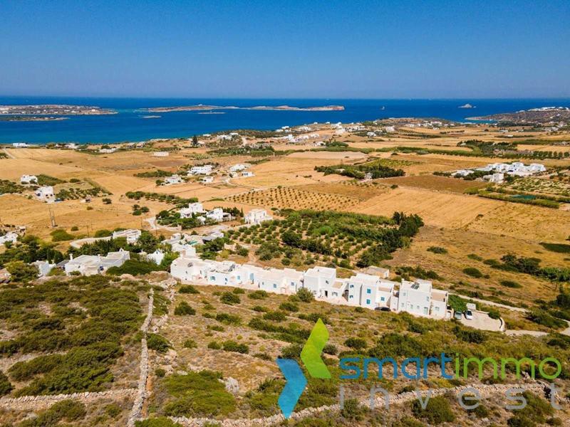 Οικόπεδο 9.500 τ.μ. προς πώληση, Μονή Χριστού Δάσους