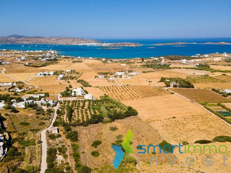 Οικόπεδο 9.500 τ.μ. προς πώληση, Μονή Χριστού Δάσους