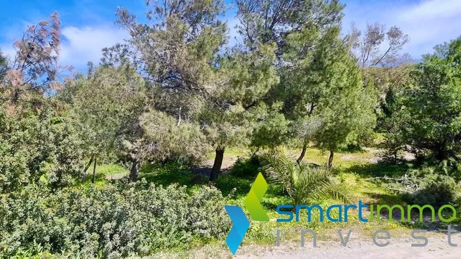 Μονοκατοικία 350 τ.μ. προς πώληση, Ποσειδωνία Σύρου