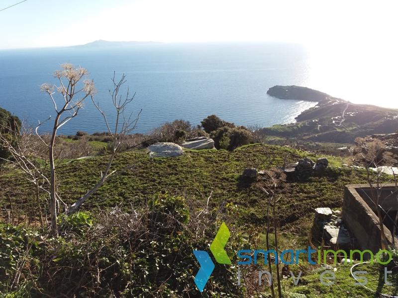Αγροτεμάχια 4.690 τ.μ. πρός πώληση, Κυκλάδες, Άνδρος