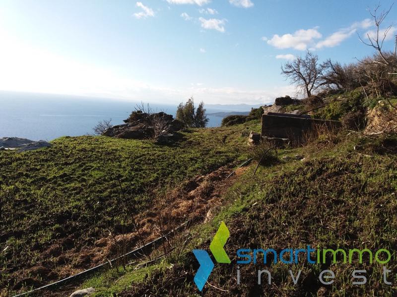 Αγροτεμάχια 4.690 τ.μ. πρός πώληση, Κυκλάδες, Άνδρος