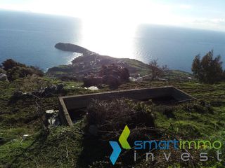 Αγροτεμάχια 4.690 τ.μ. για πώληση