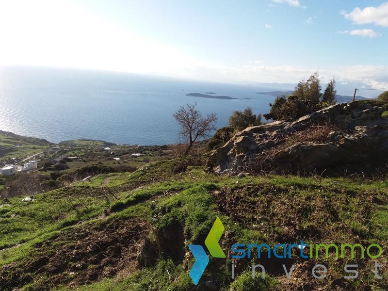 Αγροτεμάχια 4.690 τ.μ. πρός πώληση, Κυκλάδες, Άνδρος
