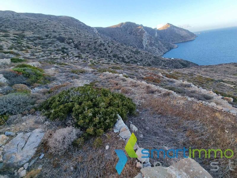 Αγροτεμάχια 25.137 τ.μ. προς πώληση, Χώρα Σικίνου