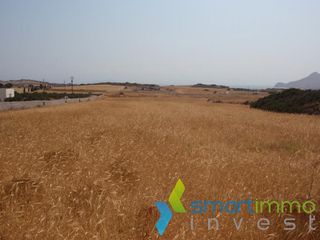 Αγροτεμάχια 6.362 τ.μ. για πώληση