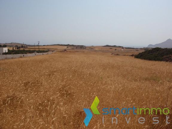 Αγροτεμάχια 6.362 τ.μ. για πώληση, Κυκλάδες, Πάρος