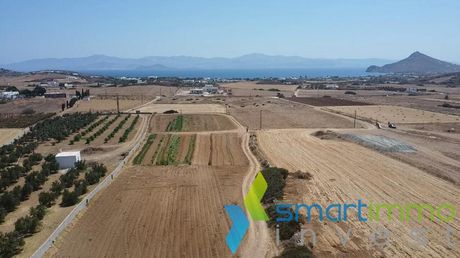 Αγροτεμάχια 6.300 τ.μ. προς πώληση
