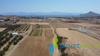 Αγροτεμάχια 6.300 τ.μ. για πώληση