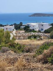 Αγροτεμάχια 4.850 τ.μ. για πώληση