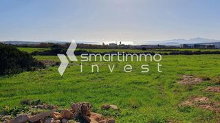 Οικόπεδο 5.080 τ.μ. πρός πώληση, Κυκλάδες, Πάρος-thumb-12