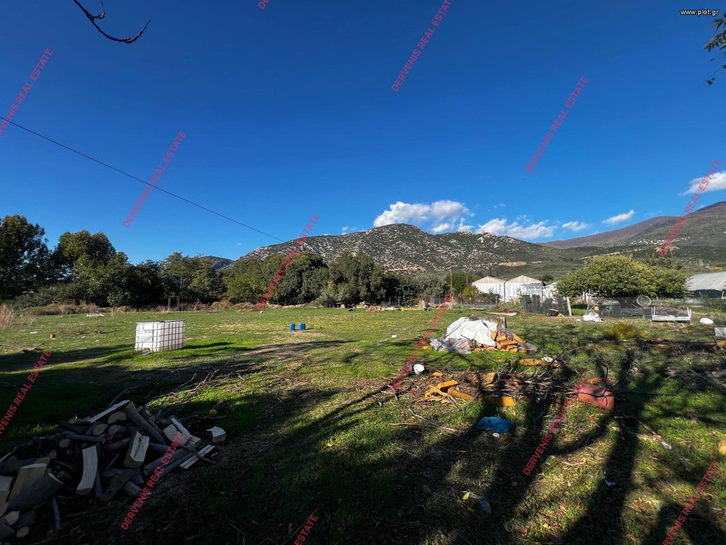 Οικόπεδο 4.300 τ.μ. πρός πώληση, Μαγνησία, Αρτέμιδα